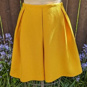 Yellow Fit and Flare Skirt